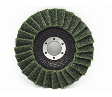 NS-ASC003 Cleaning Disc Green